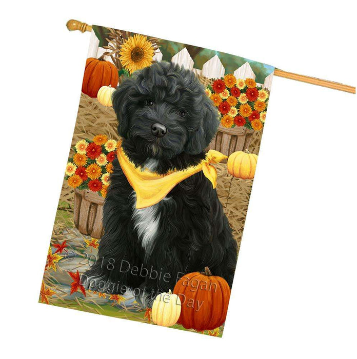 Fall Autumn Greeting Cockapoo Dog with Pumpkins House Flag FLG52400