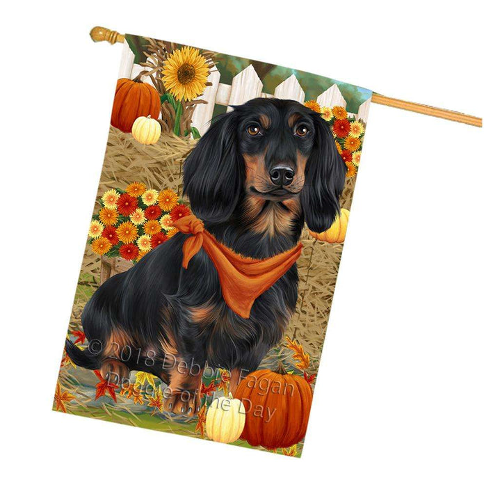 Fall Autumn Greeting Dachshund Dog with Pumpkins House Flag FLG50759