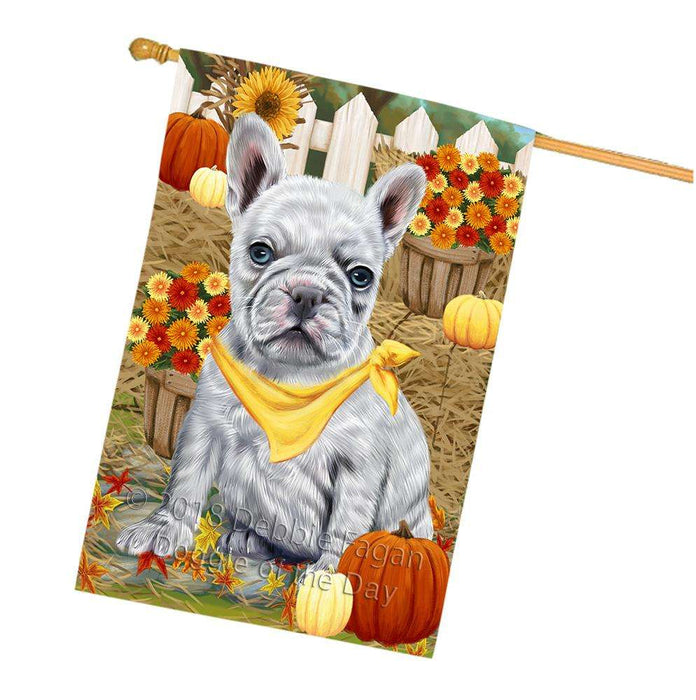 Fall Autumn Greeting French Bulldog with Pumpkins House Flag FLG50767