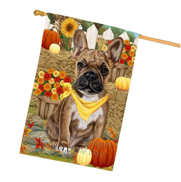 Fall Autumn Greeting French Bulldog with Pumpkins House Flag FLG50769