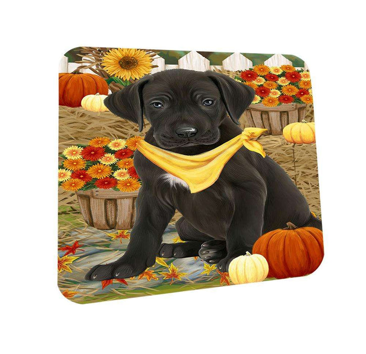 Fall Autumn Greeting Great Dane Dog with Pumpkins Coasters Set of 4 CST50707