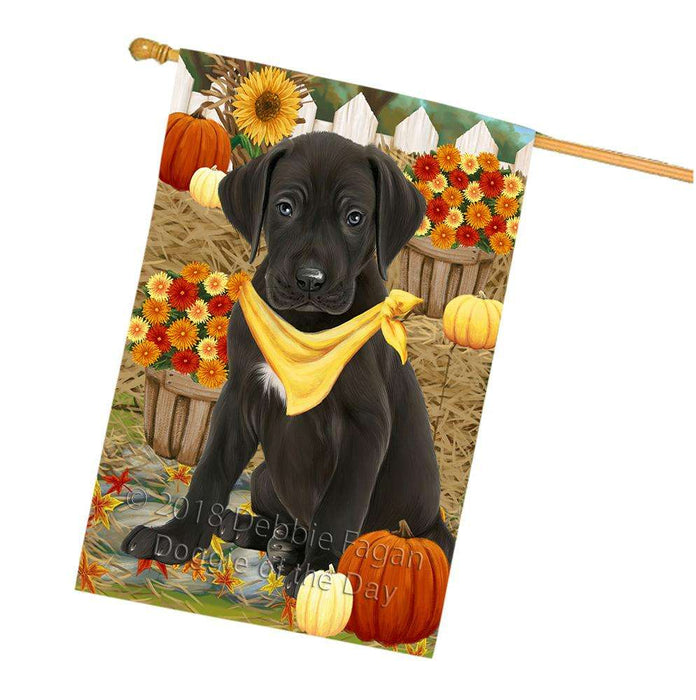 Fall Autumn Greeting Great Dane Dog with Pumpkins House Flag FLG50777