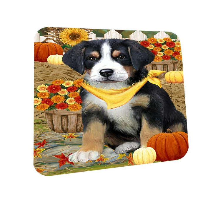 Fall Autumn Greeting Greater Swiss Mountain Dog with Pumpkins Coasters Set of 4 CST52292