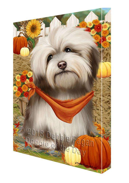 Fall Autumn Greeting Havanese Dog with Pumpkins Canvas Print Wall Art Décor CVS73079