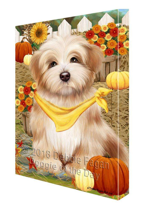 Fall Autumn Greeting Havanese Dog with Pumpkins Canvas Print Wall Art Décor CVS73088
