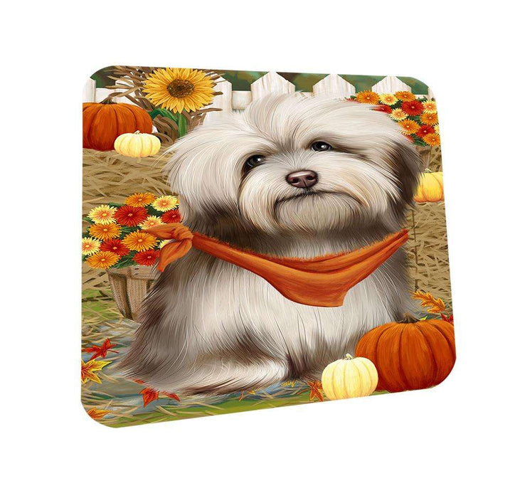 Fall Autumn Greeting Havanese Dog with Pumpkins Coasters Set of 4 CST50709