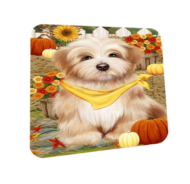 Fall Autumn Greeting Havanese Dog with Pumpkins Coasters Set of 4 CST50710