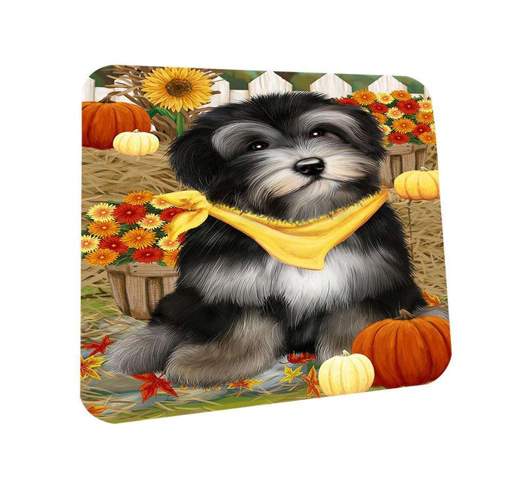 Fall Autumn Greeting Havanese Dog with Pumpkins Coasters Set of 4 CST50711