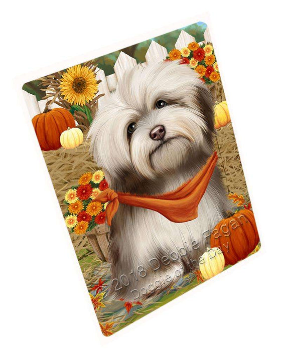Fall Autumn Greeting Havanese Dog with Pumpkins Cutting Board C56310