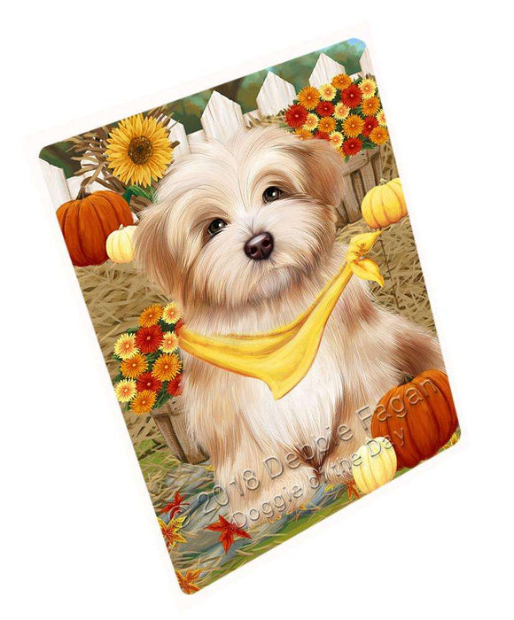 Fall Autumn Greeting Havanese Dog with Pumpkins Cutting Board C56313