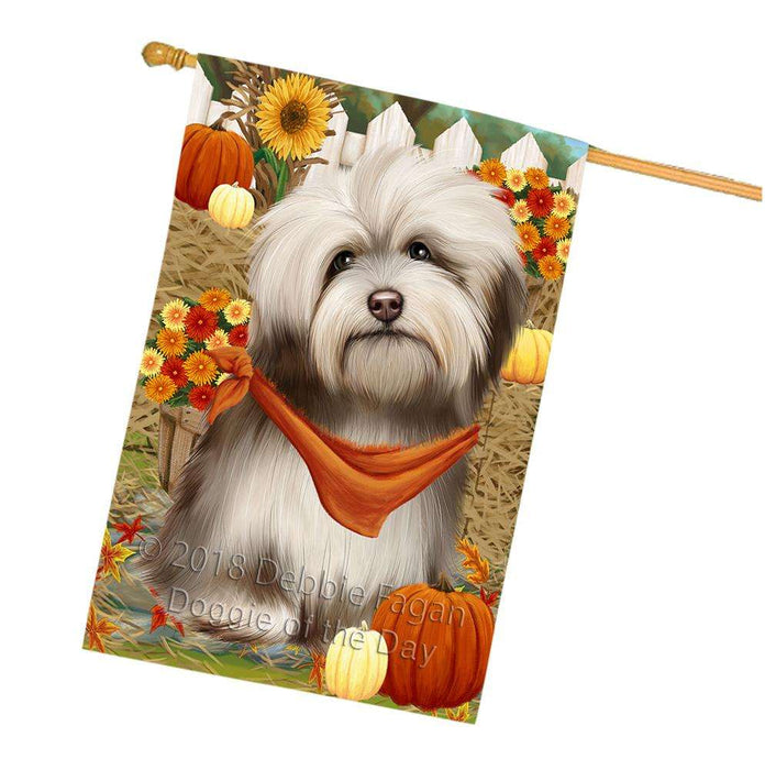 Fall Autumn Greeting Havanese Dog with Pumpkins House Flag FLG50779