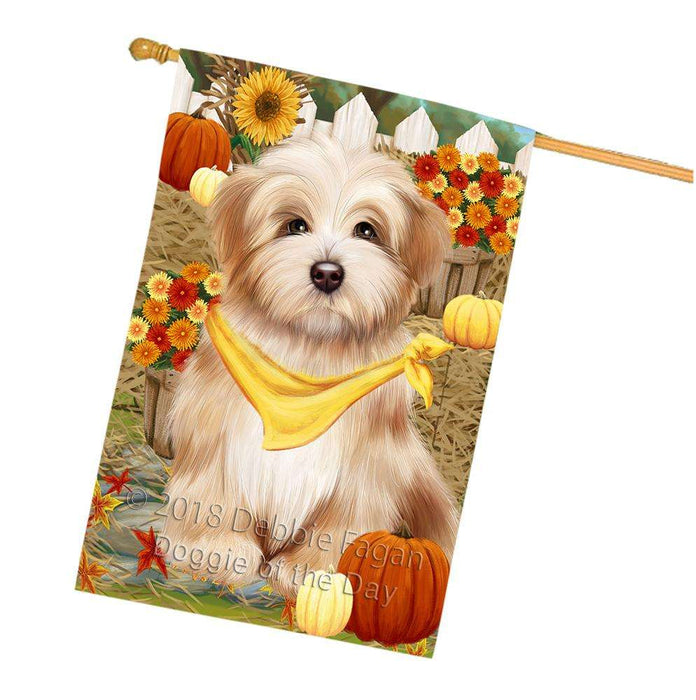 Fall Autumn Greeting Havanese Dog with Pumpkins House Flag FLG50780