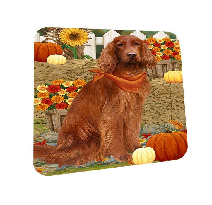 Fall Autumn Greeting Irish Setter Dog with Pumpkins Coasters Set of 4 CST52293