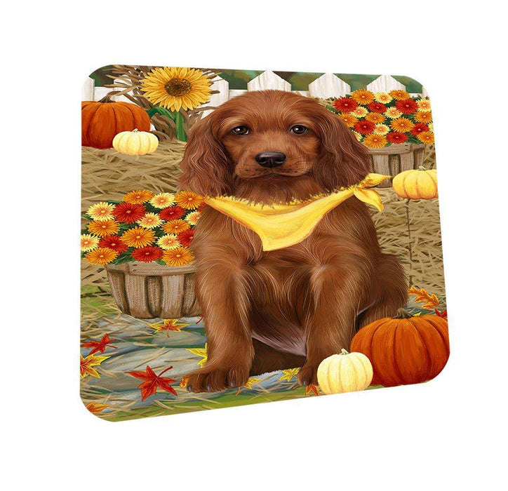 Fall Autumn Greeting Irish Setter Dog with Pumpkins Coasters Set of 4 CST52294