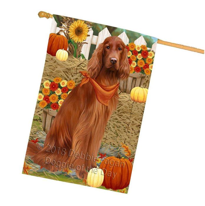 Fall Autumn Greeting Irish Setter Dog with Pumpkins House Flag FLG52415