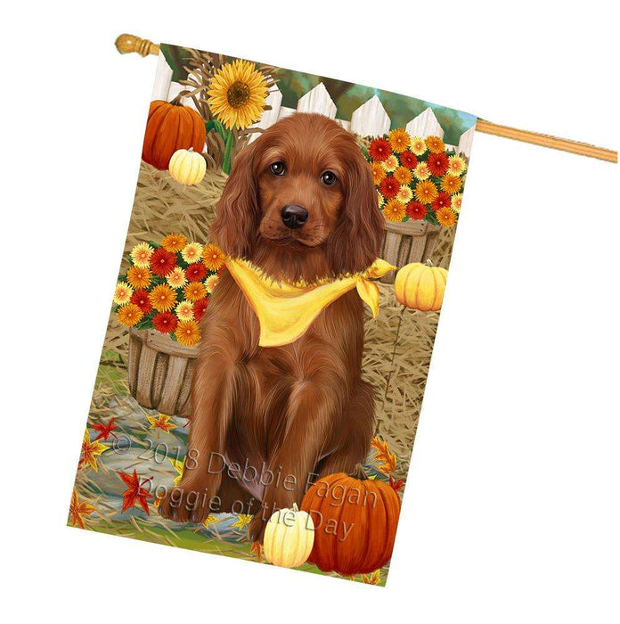 Fall Autumn Greeting Irish Setter Dog with Pumpkins House Flag FLG52416