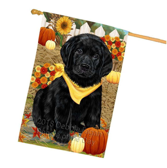 Fall Autumn Greeting Labrador Retriever Dog with Pumpkins House Flag FLG50787