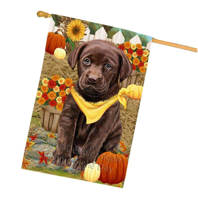 Fall Autumn Greeting Labrador Retriever Dog with Pumpkins House Flag FLG50789