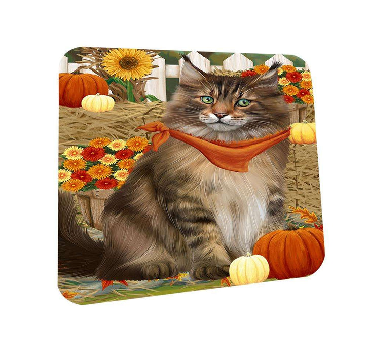 Fall Autumn Greeting Maine Coon Cat with Pumpkins Coasters Set of 4 CST52297