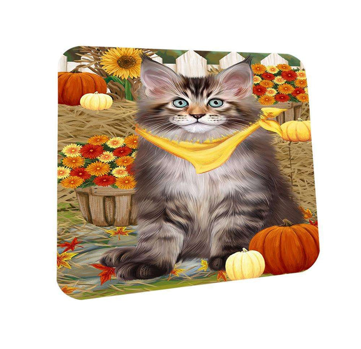 Fall Autumn Greeting Maine Coon Cat with Pumpkins Coasters Set of 4 CST52298