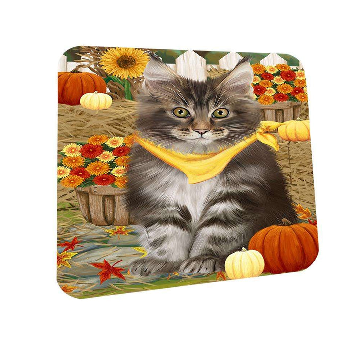 Fall Autumn Greeting Maine Coon Cat with Pumpkins Coasters Set of 4 CST52299