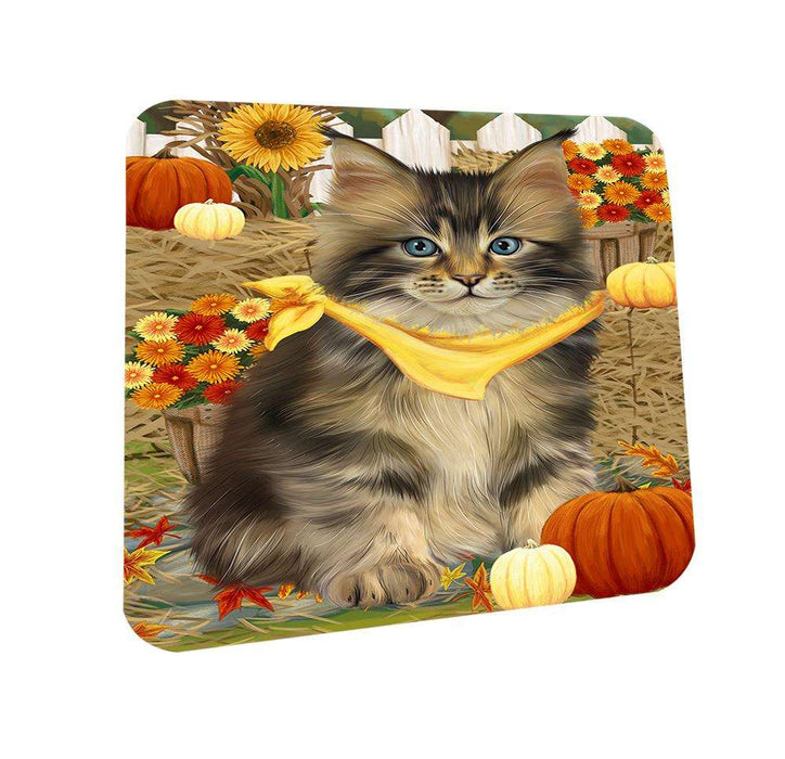 Fall Autumn Greeting Maine Coon Cat with Pumpkins Coasters Set of 4 CST52300