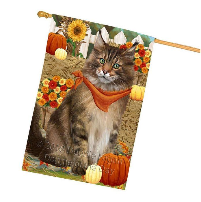 Fall Autumn Greeting Maine Coon Cat with Pumpkins House Flag FLG52419