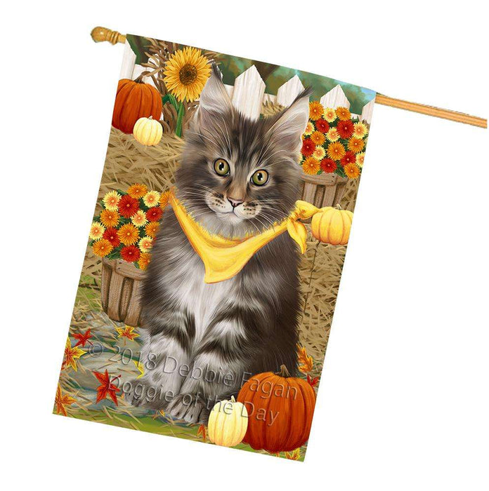 Fall Autumn Greeting Maine Coon Cat with Pumpkins House Flag FLG52421