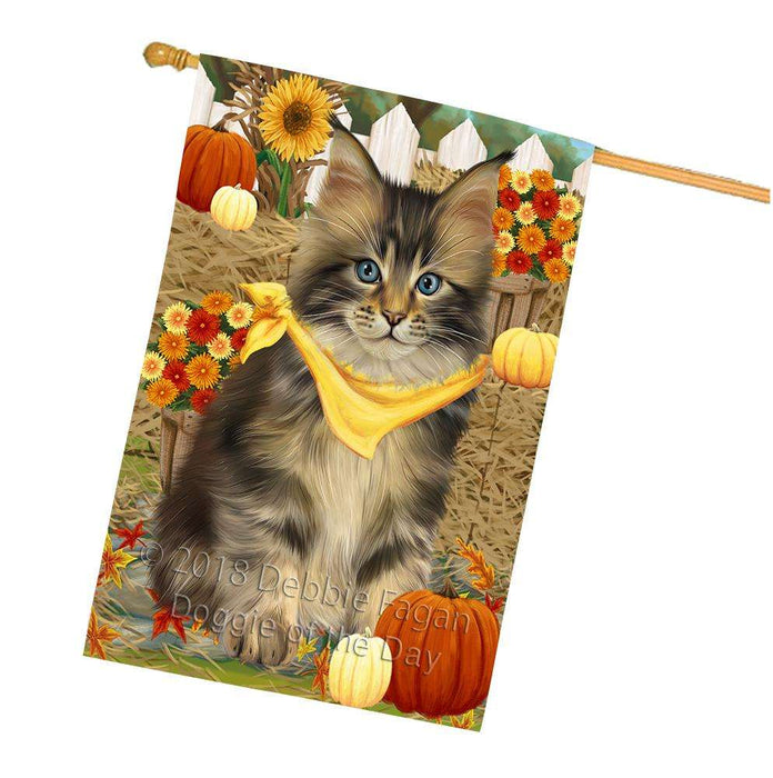 Fall Autumn Greeting Maine Coon Cat with Pumpkins House Flag FLG52422