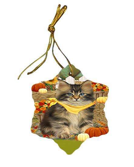 Fall Autumn Greeting Maine Coon Cat with Pumpkins Star Porcelain Ornament SPOR52332