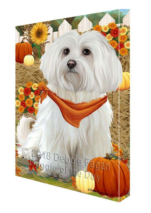 Fall Autumn Greeting Maltese Dog with Pumpkins Canvas Print Wall Art Décor CVS73223