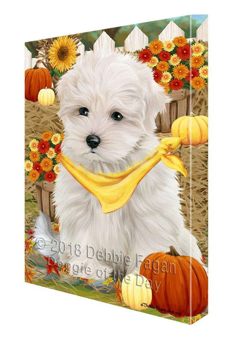 Fall Autumn Greeting Maltese Dog with Pumpkins Canvas Print Wall Art Décor CVS73232