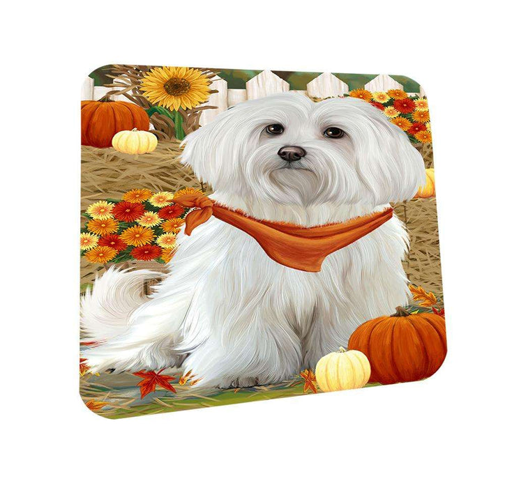 Fall Autumn Greeting Maltese Dog with Pumpkins Coasters Set of 4 CST50725