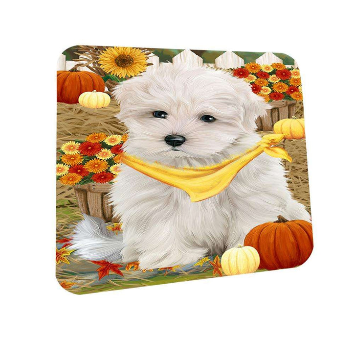 Fall Autumn Greeting Maltese Dog with Pumpkins Coasters Set of 4 CST50726