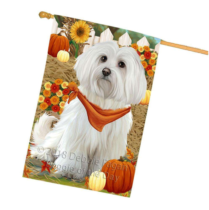 Fall Autumn Greeting Maltese Dog with Pumpkins House Flag FLG50795
