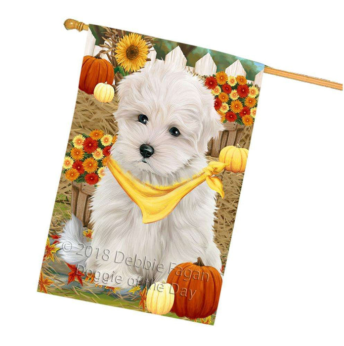Fall Autumn Greeting Maltese Dog with Pumpkins House Flag FLG50796