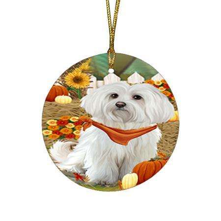 Fall Autumn Greeting Maltese Dog with Pumpkins Round Flat Christmas Ornament RFPOR50757