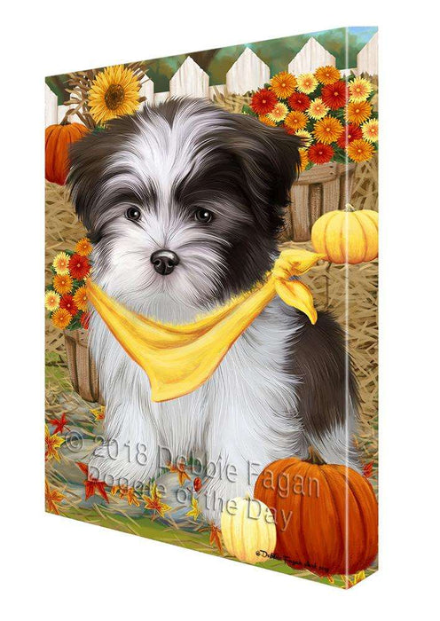 Fall Autumn Greeting Malti Tzu Dog with Pumpkins Canvas Print Wall Art Décor CVS73259