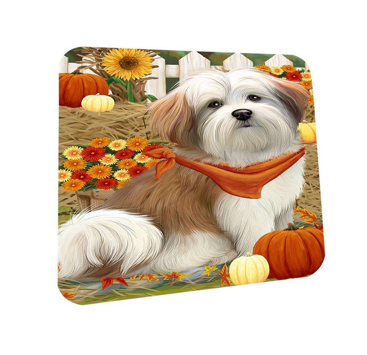 Fall Autumn Greeting Malti Tzu Dog with Pumpkins Coasters Set of 4 CST50727