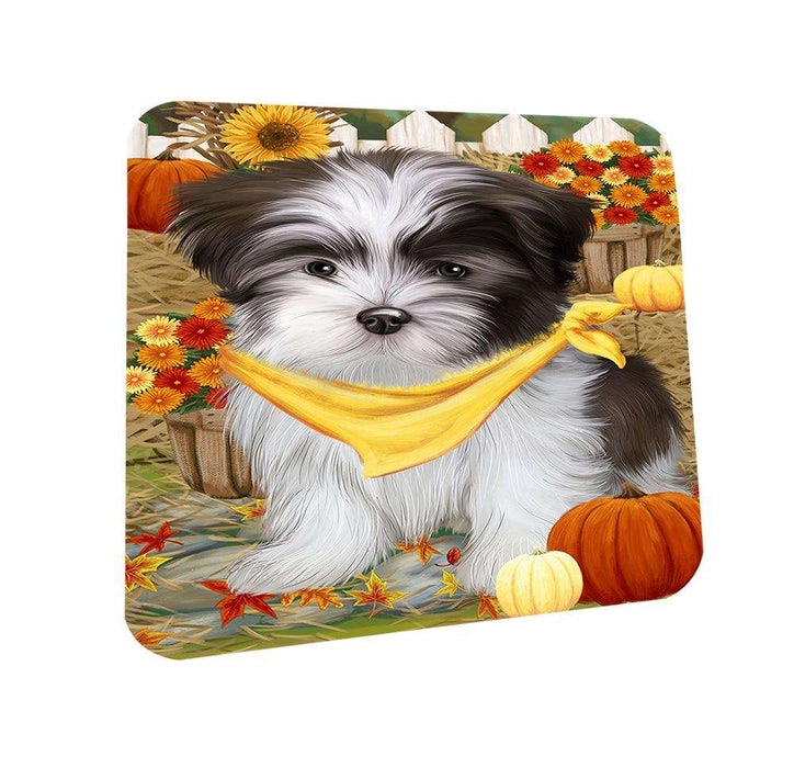 Fall Autumn Greeting Malti Tzu Dog with Pumpkins Coasters Set of 4 CST50729