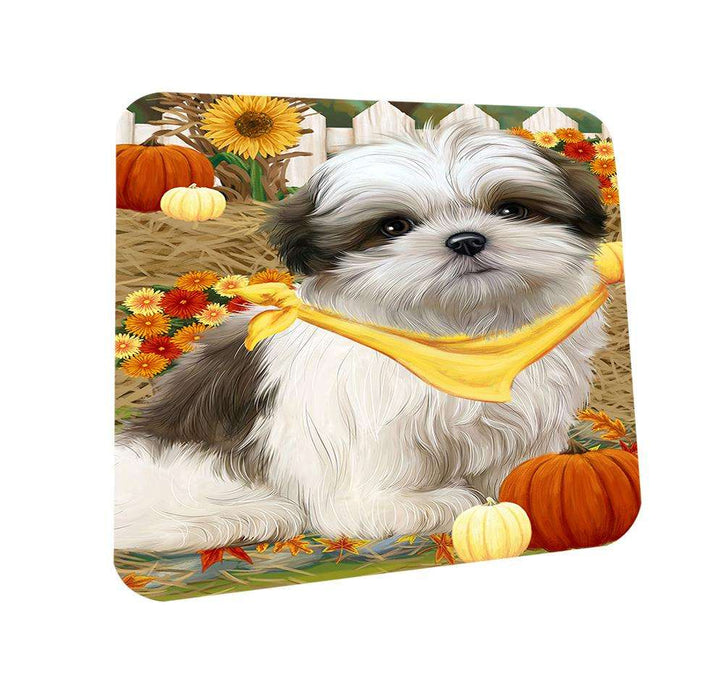 Fall Autumn Greeting Malti Tzu Dog with Pumpkins Coasters Set of 4 CST50731
