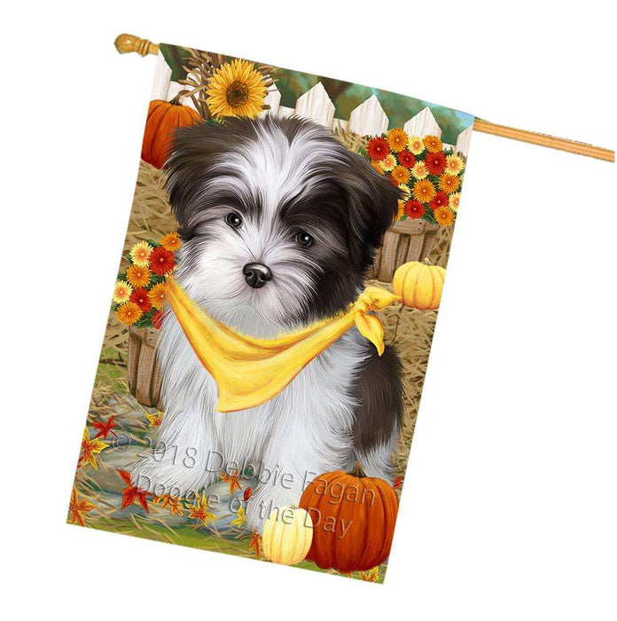 Fall Autumn Greeting Malti Tzu Dog with Pumpkins House Flag FLG50799