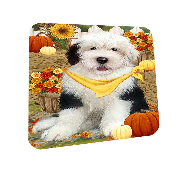 Fall Autumn Greeting Old English Sheepdog with Pumpkins Coasters Set of 4 CST50733