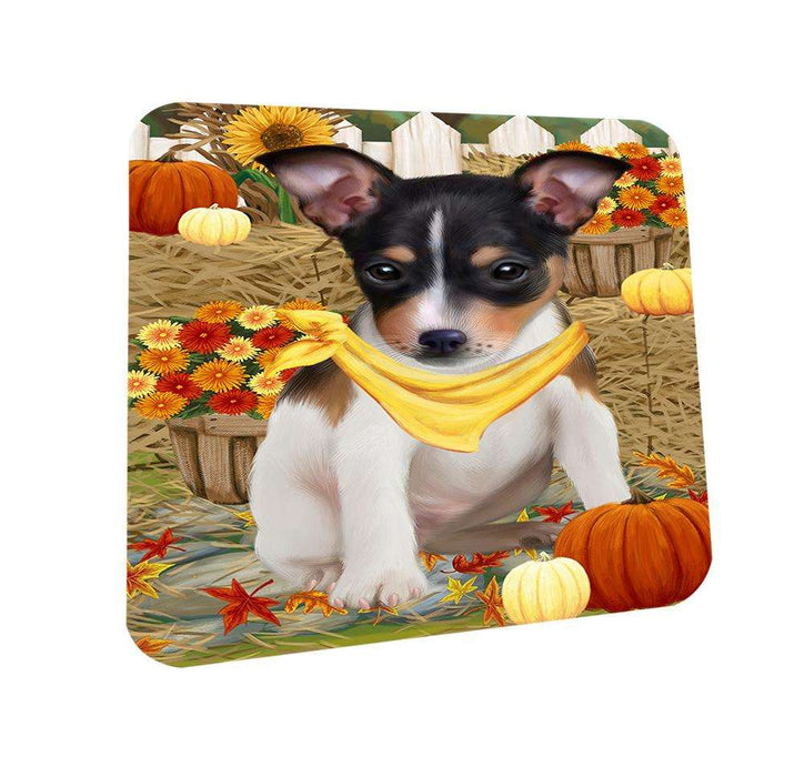 Fall Autumn Greeting Rat Terrier Dog with Pumpkins Coasters Set of 4 CST50787