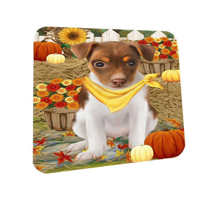 Fall Autumn Greeting Rat Terrier Dog with Pumpkins Coasters Set of 4 CST50788
