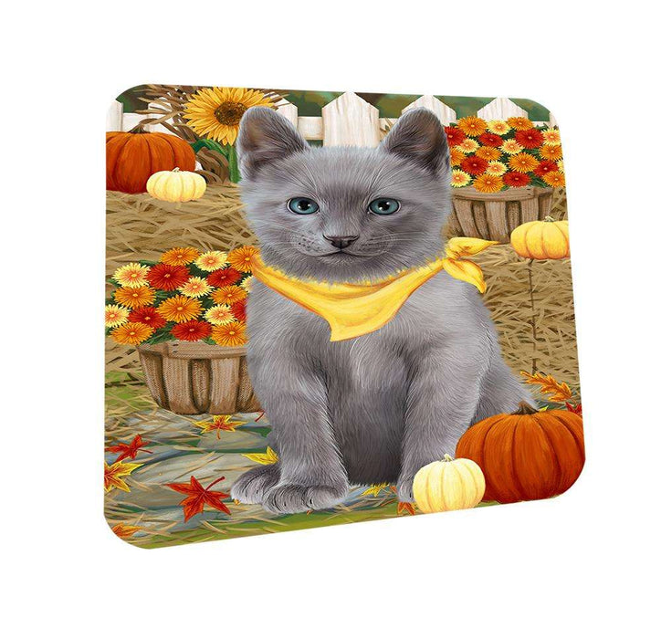 Fall Autumn Greeting Russian Blue Cat with Pumpkins Coasters Set of 4 CST52302