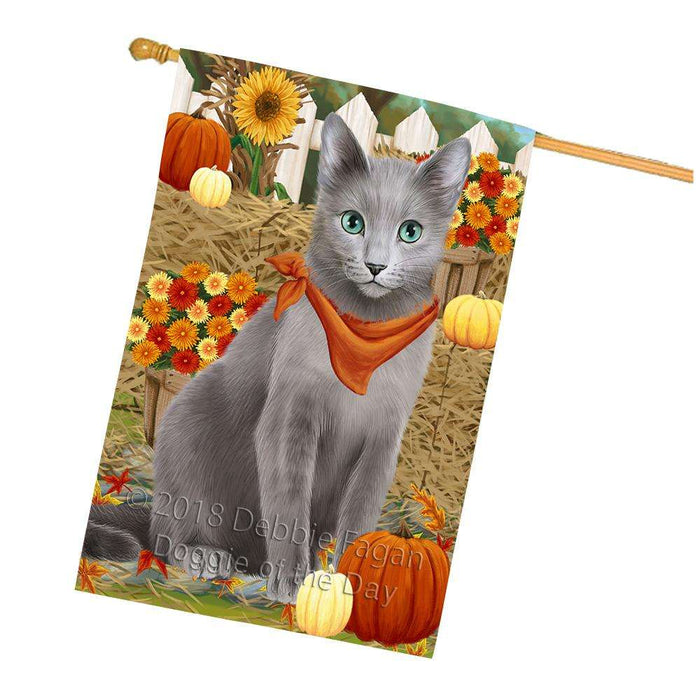 Fall Autumn Greeting Russian Blue Cat with Pumpkins House Flag FLG52423