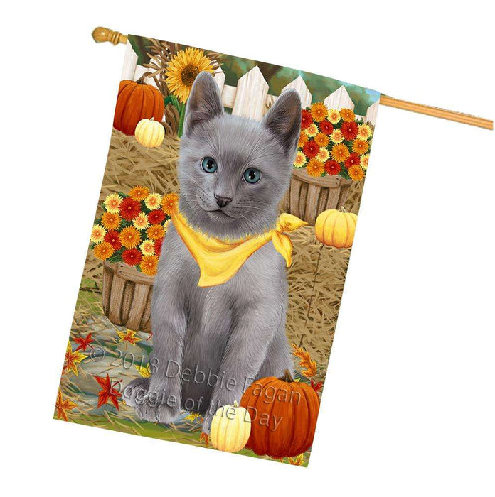 Fall Autumn Greeting Russian Blue Cat with Pumpkins House Flag FLG52424