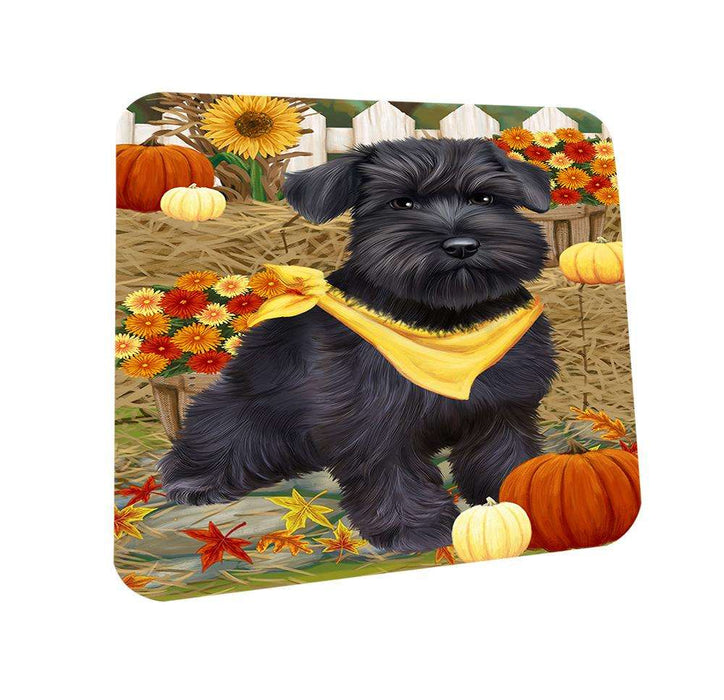 Fall Autumn Greeting Schnauzer Dog with Pumpkins Coasters Set of 4 CST50799