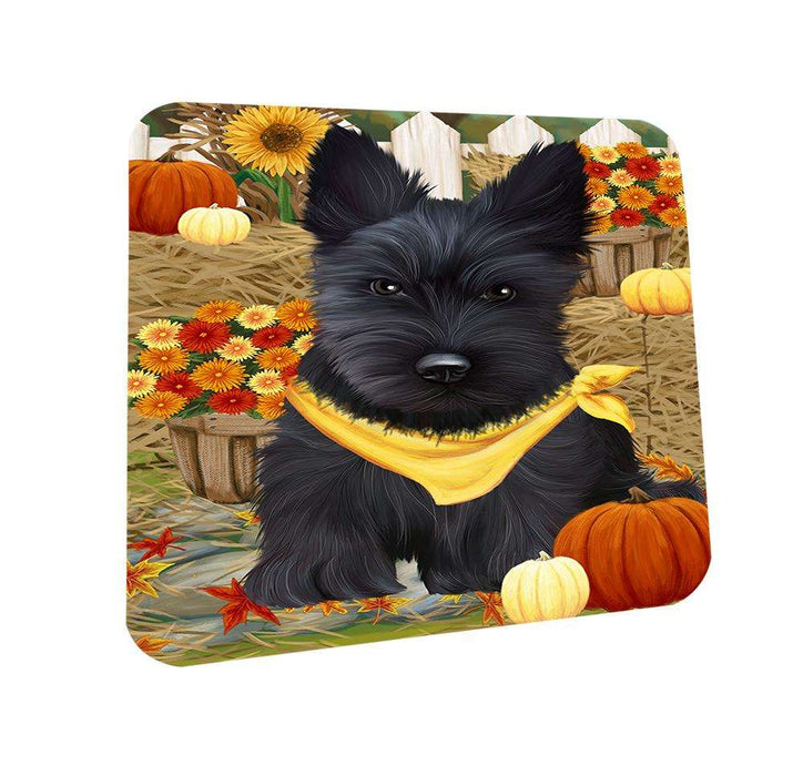 Fall Autumn Greeting Scottish Terrier Dog with Pumpkins Coasters Set of 4 CST50802